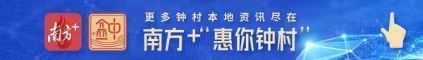 股查查 “植”此青绿  不负春光——驻五华县梅林镇工作队积极响应绿美广东生态建设号召
