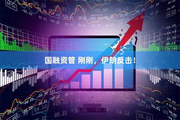 国融资管 刚刚，伊朗反击！
